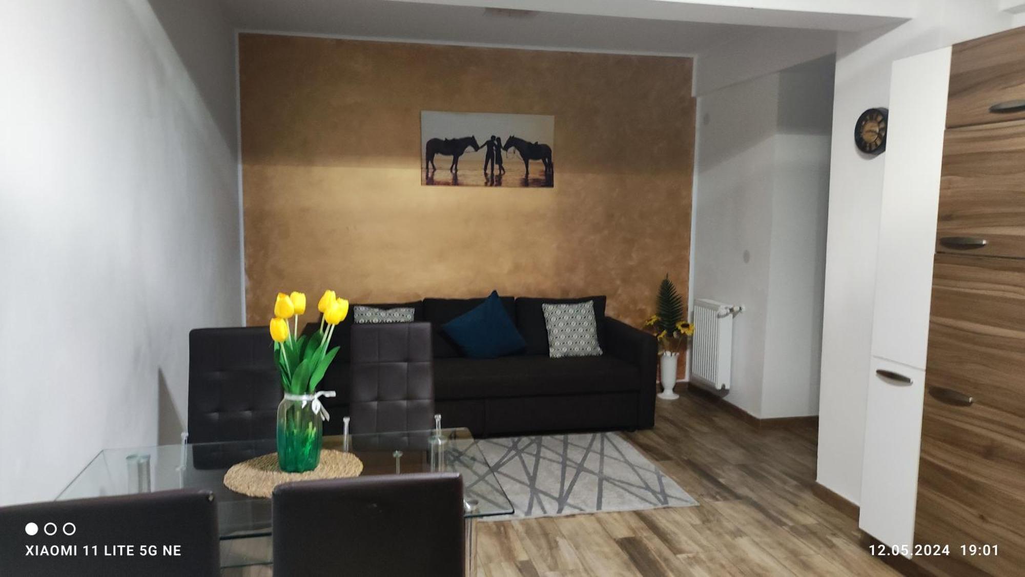 Apartament Lenus'k * Bucarest